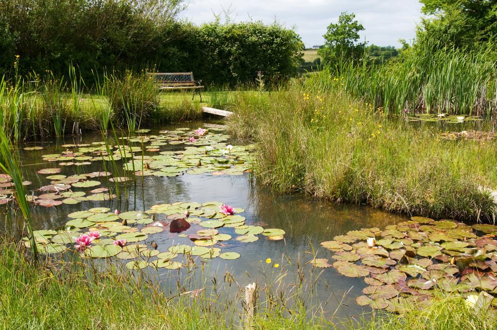 Lake Rise Holiday Home At Kilmaddaroe Carrick-on-Shannon Phòng bức ảnh